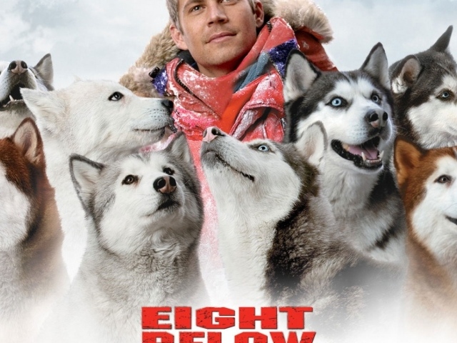 Белый плен / Eight Below