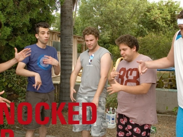 Немножко беременна / Knocked Up