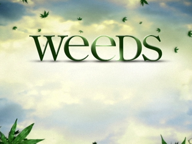 Косяки / Weeds