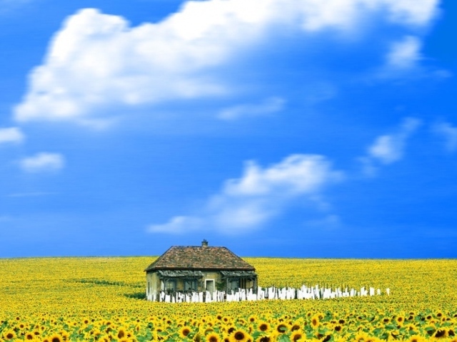 Свет вокруг / Everything Is Illuminated