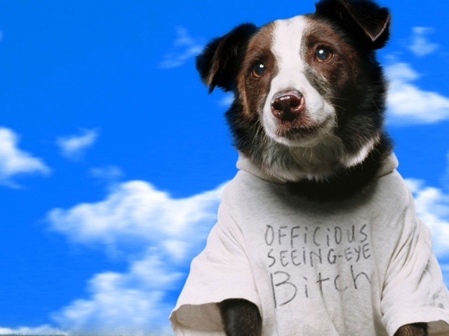 Свет вокруг / Everything Is Illuminated