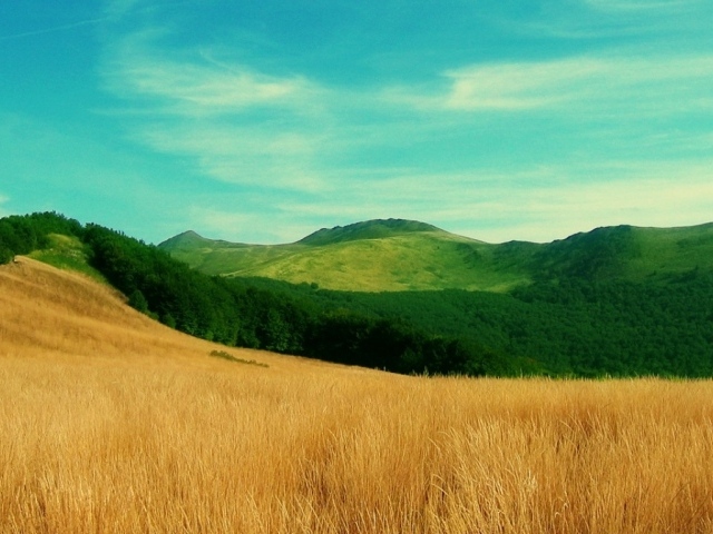 Трава по пояс