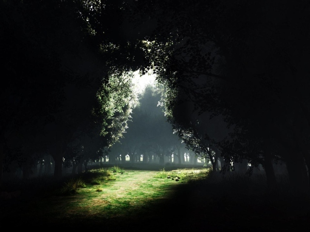 Просвет Темного леса