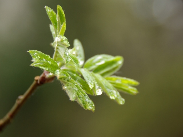 После дождя