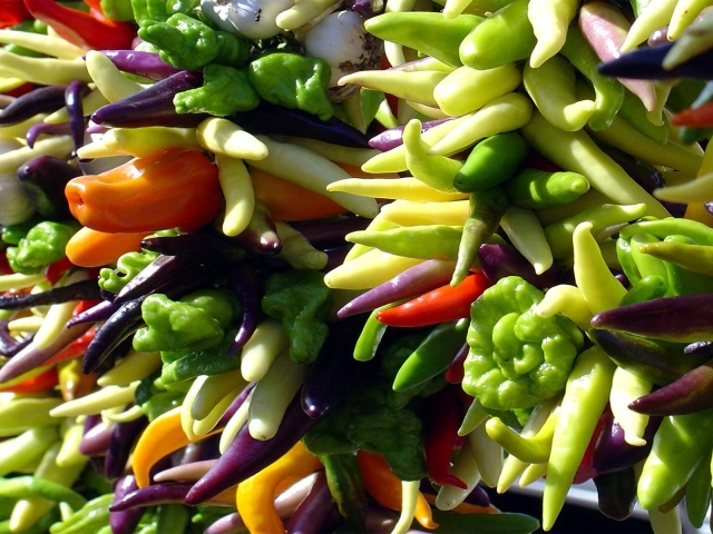 Яркие перцы