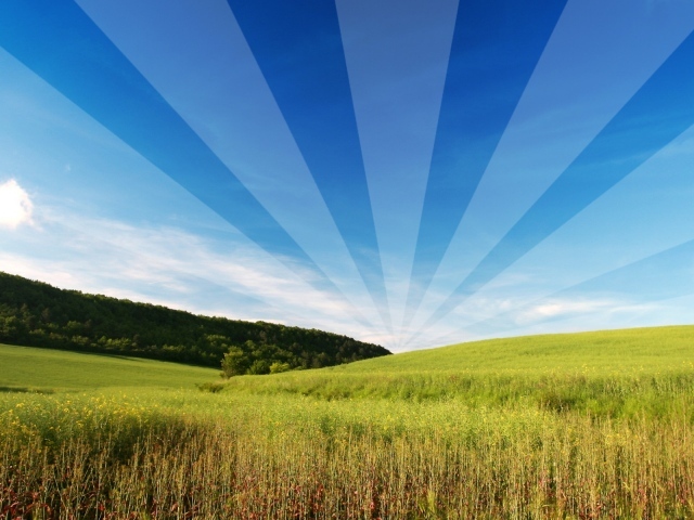 Открытый и свободный