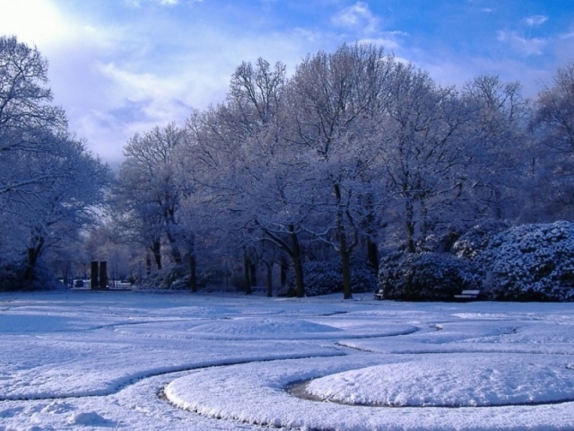 Зима в парке
