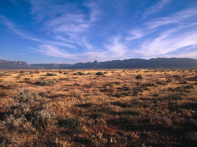 Karoo - Кару / Африка