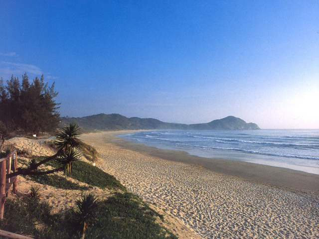 Пляж Бразилии