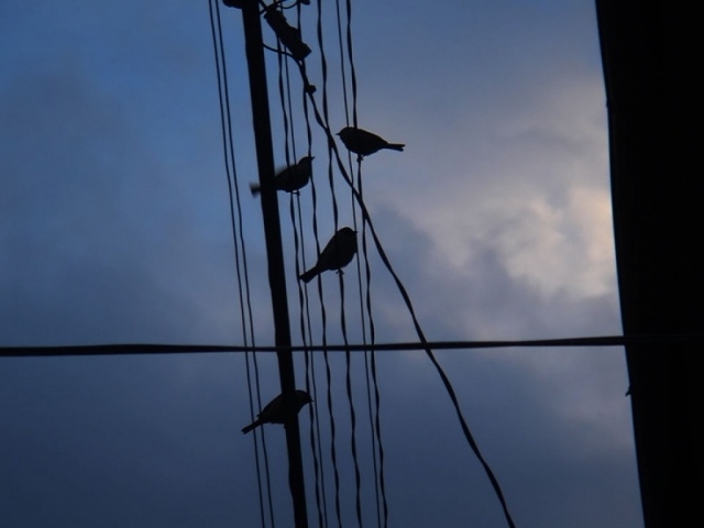 Ночное море