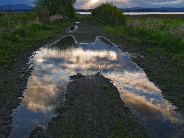 Лужа Неба, США
