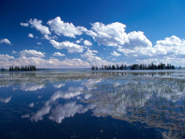 Йеллоустонское Озеро, США