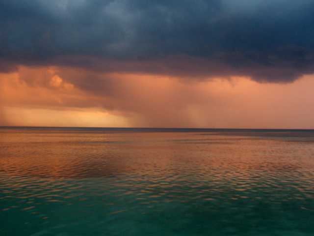 Ямайский дождь