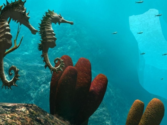 Морские обитатели