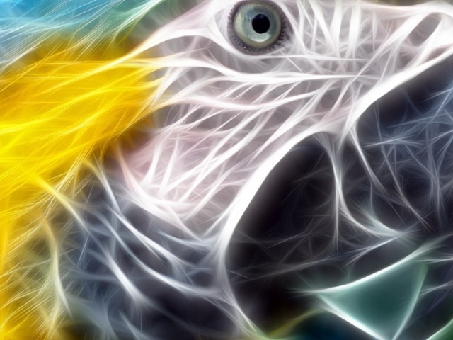 Разноцветный попугай