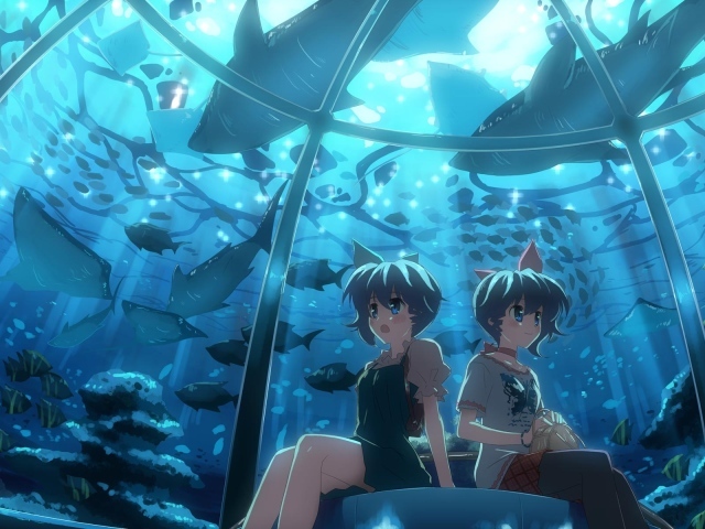 Девчонки в океанариуме