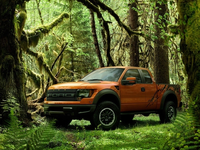 Ford в лесу