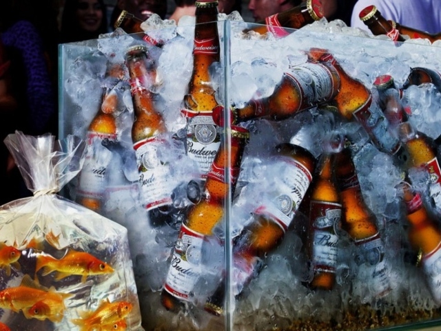 Аквариум с пивом