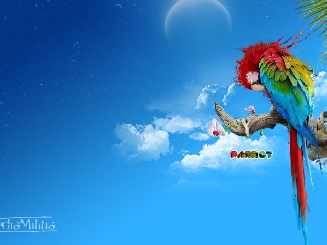 Красочный попугай