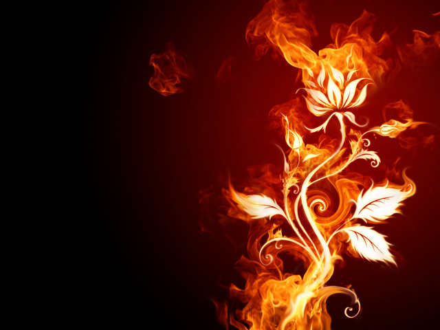 Огненный цветок
