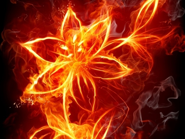 Цветок из огня