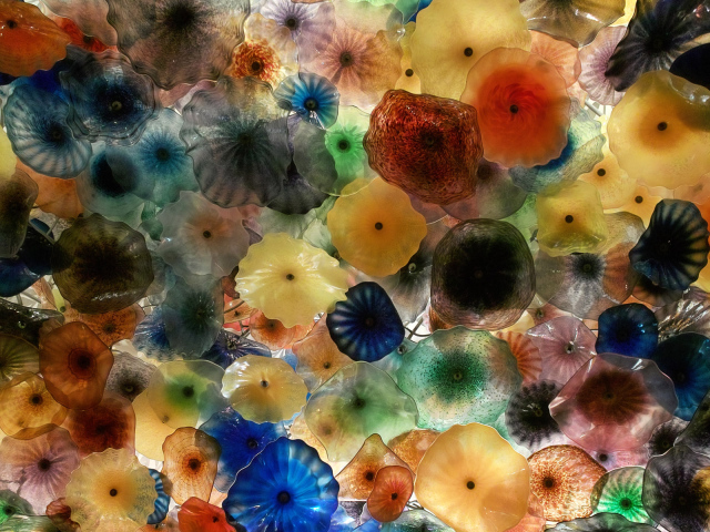 Разноцветные медузы