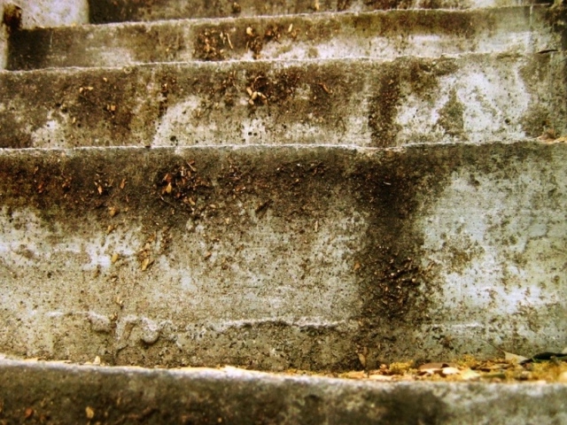 Старые ступеньки