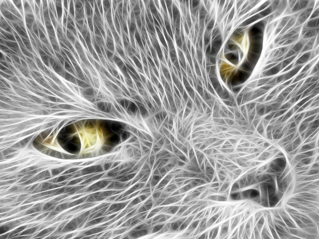 Кошачья мордочка