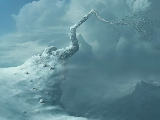 Вершина жизни