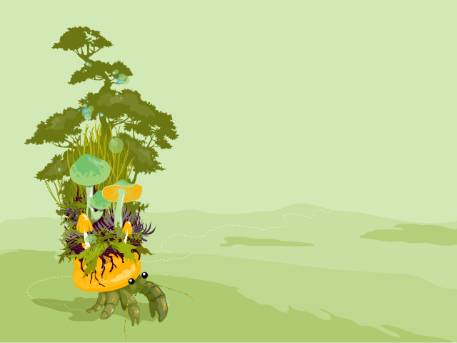 Грибы  на панцире