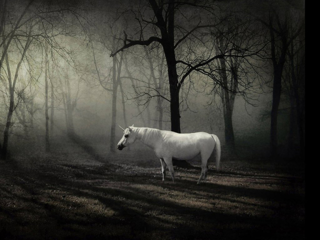 Сказочное животное