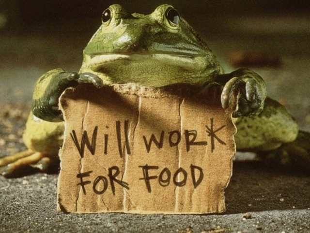 Готов работать за еду