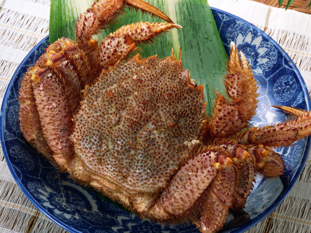 Колючий краб