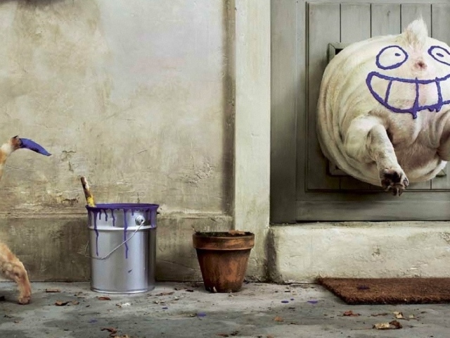 Бестыжий котяра