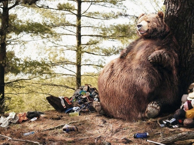 Медведь в походе