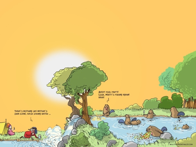 Бобры хулиганы