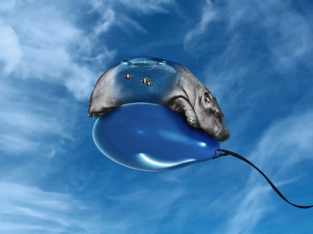 Летающий бегемот