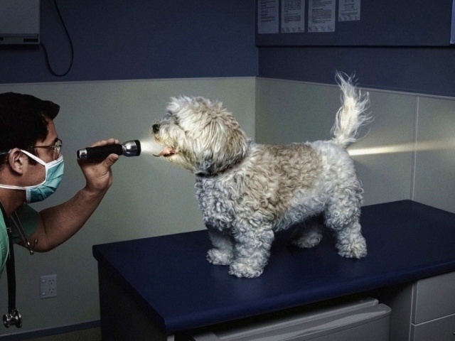 Свет в конце туннеля