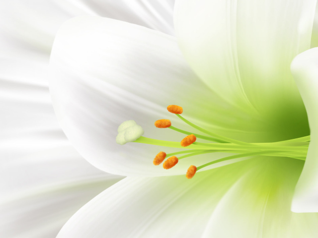 Пасхальный цветок