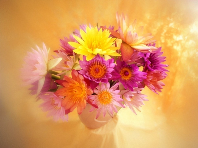 Яркие цветы красивым женщинам на 8 марта