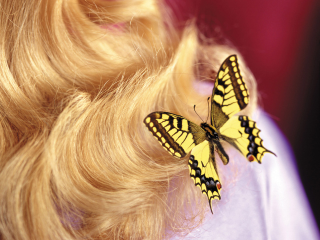 Бабочка на 8 марта
