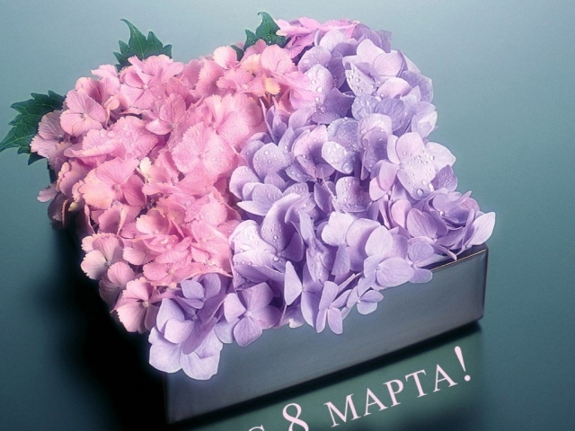 Цветы любимым девчонкам