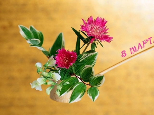 Подарки для любимых женщин