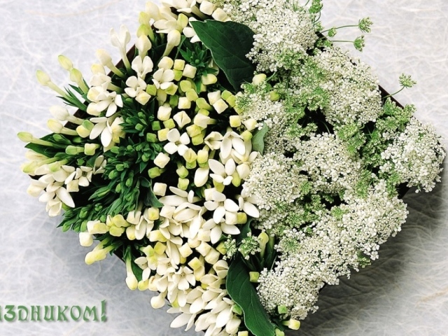 Праздник для любимых девушек