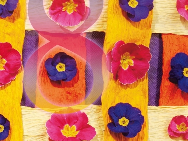 Праздник для любимой