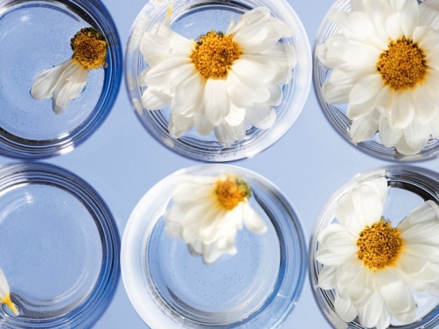 Любит не любит