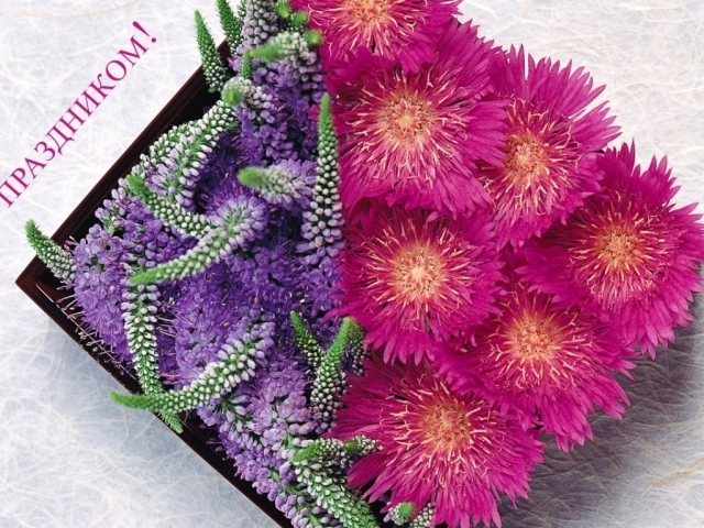 8 марта Международный женский день