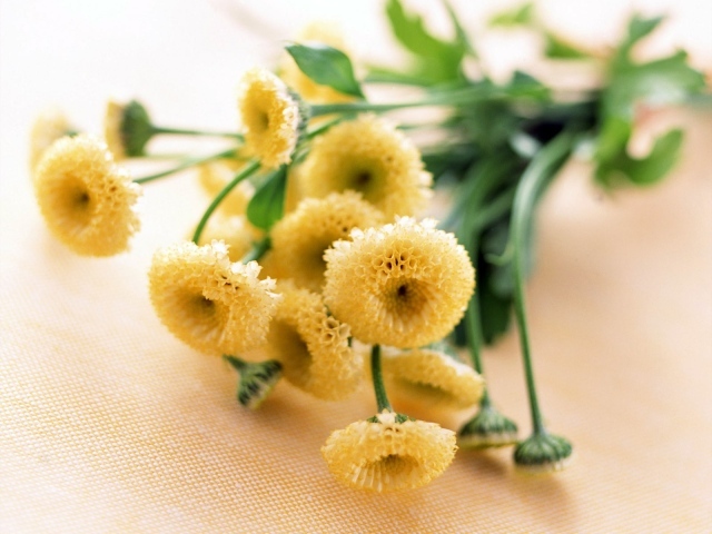 8 марта желтые цветочки