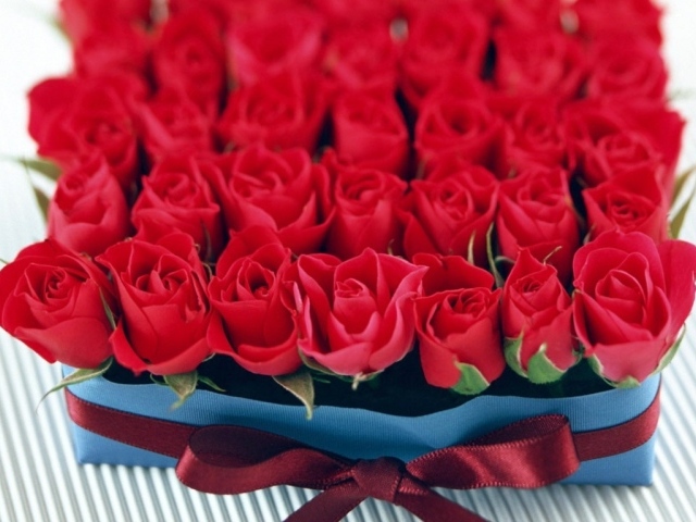 Бутоны роз в День Св. Валентина