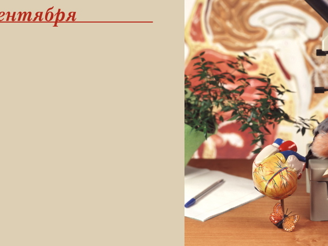 Начало учебного года